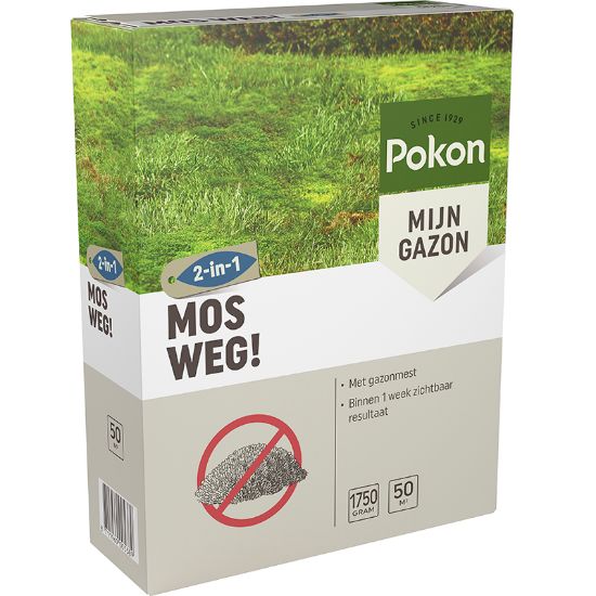 PictureAltAttribute - pokon-mos-weg-50m2-jpg